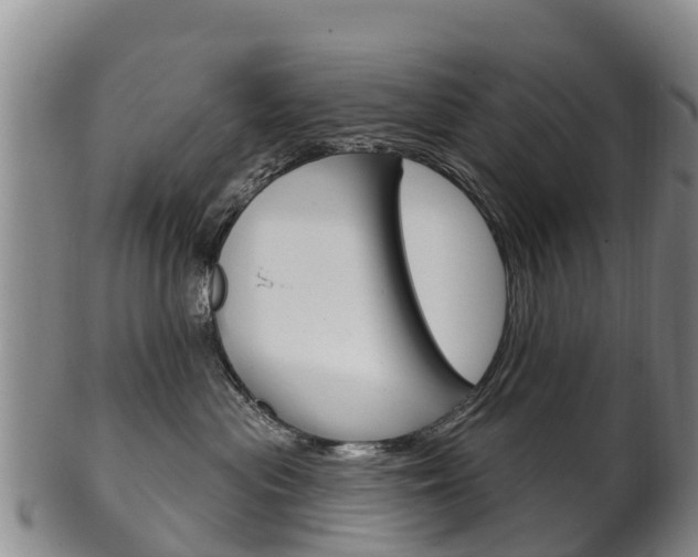 X0000102530477200808081056