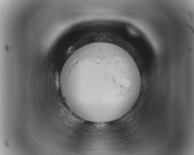 X0000102530479200808081057
