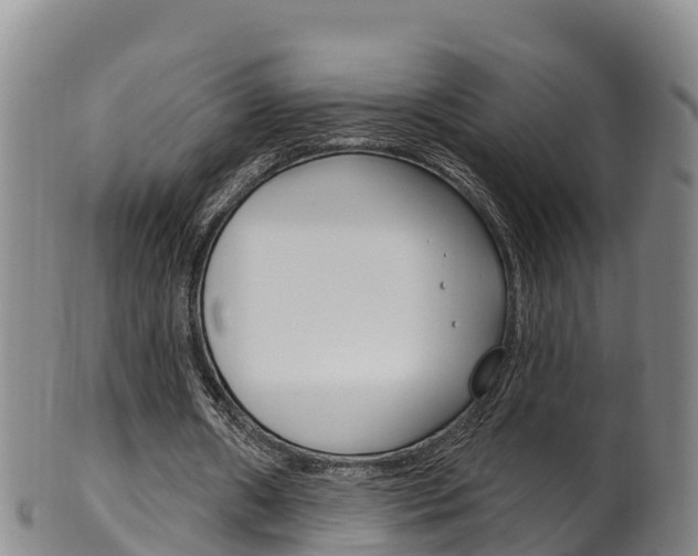 X0000102530482200808081056