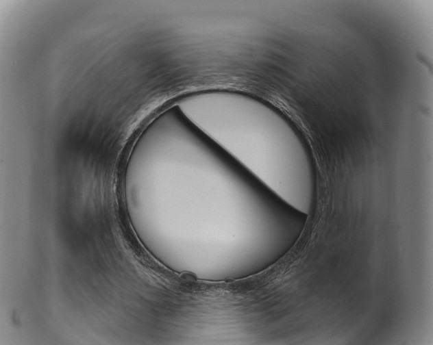 X0000102530483200808081056