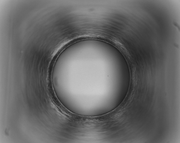X0000102530484200808081056