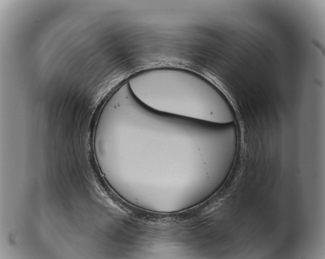 X0000102530485200808081056