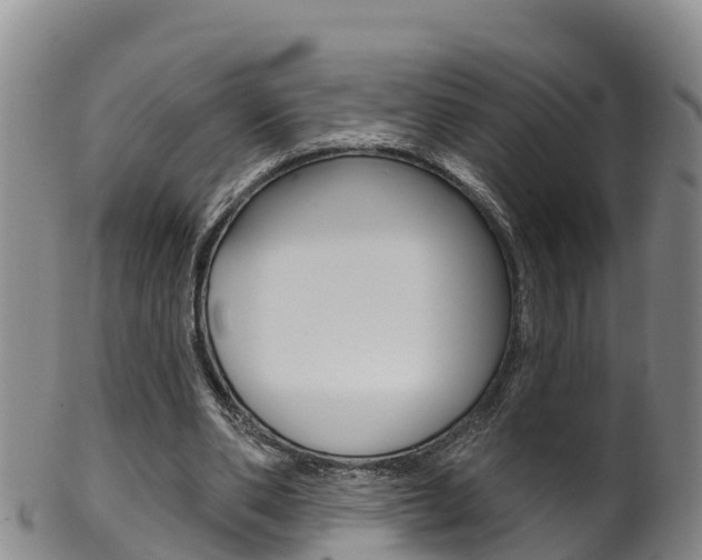 X0000102530486200808081056