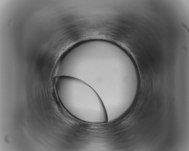 X0000102530487200808081056