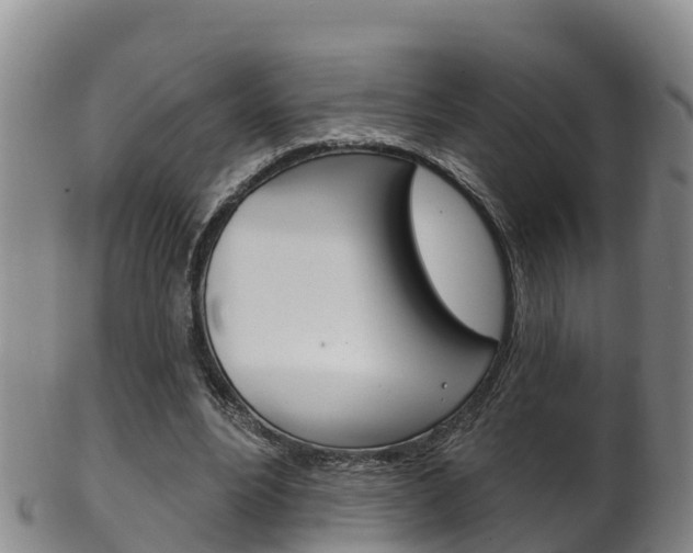X0000102530488200808081056