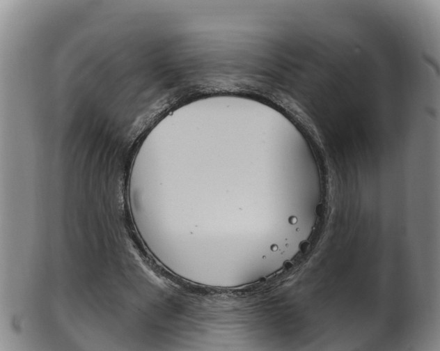 X0000102530489200808081056