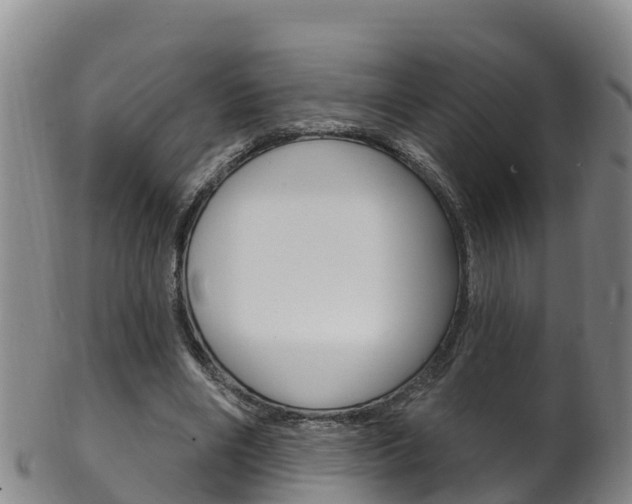 X0000102530490200808081056