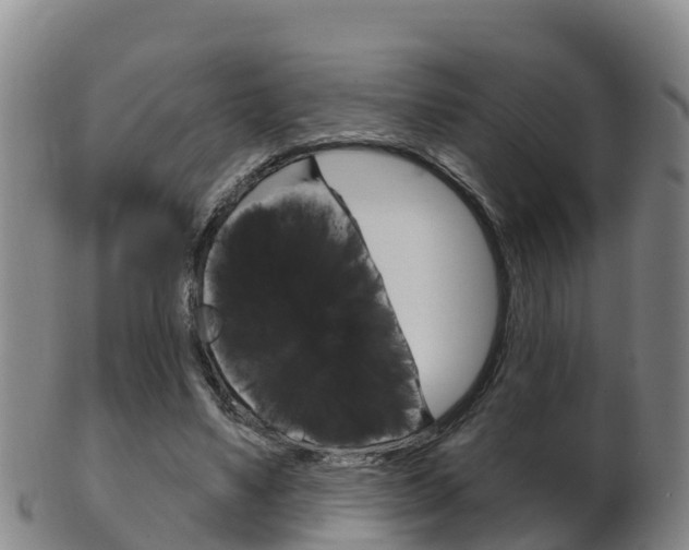 X0000102530491200808081056