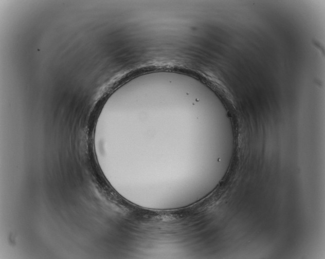 X0000102530492200808081056