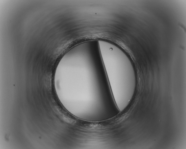X0000102530493200808081056