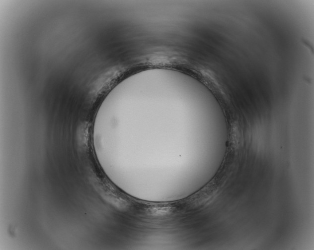 X0000102530495200808081055