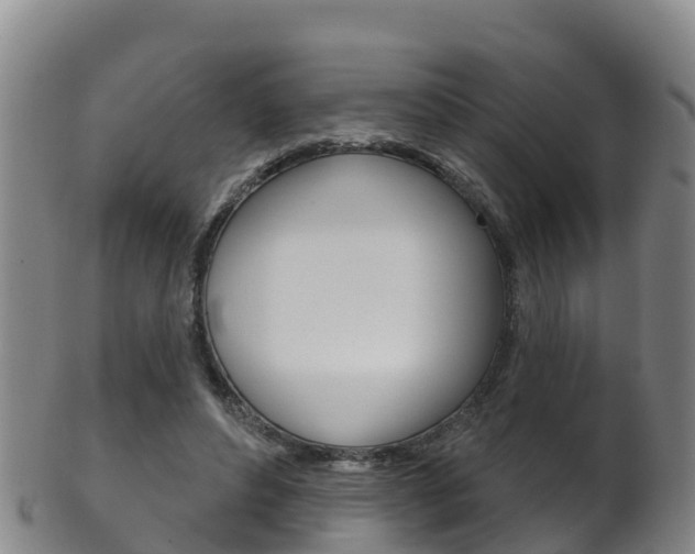 X0000102530496200808081055