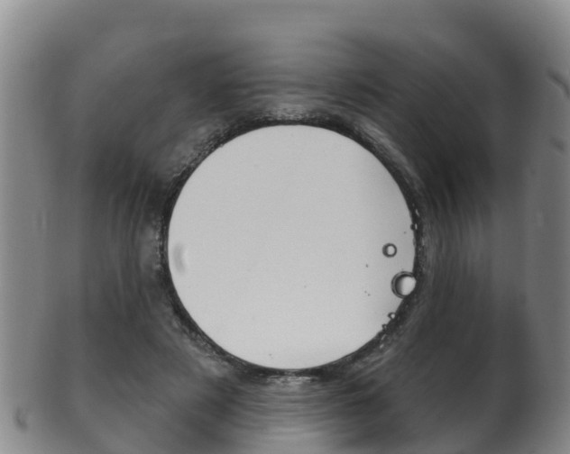 X0000102530497200808081055