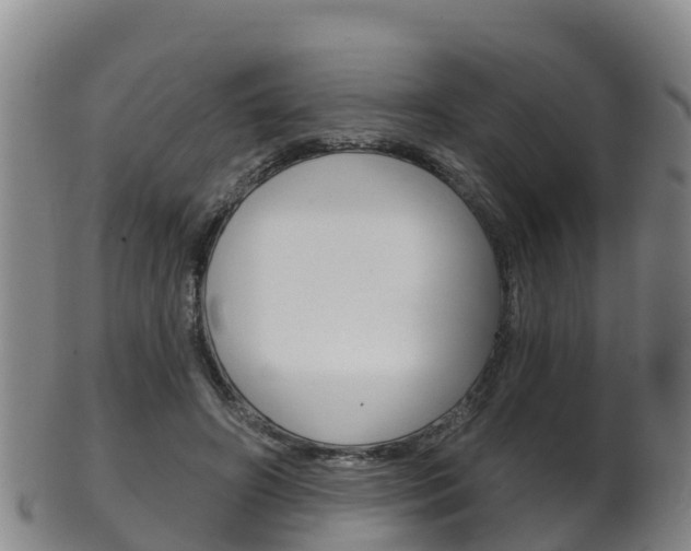 X0000102530498200808081055