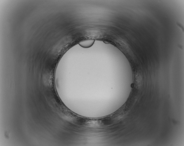 X0000102530499200808081055