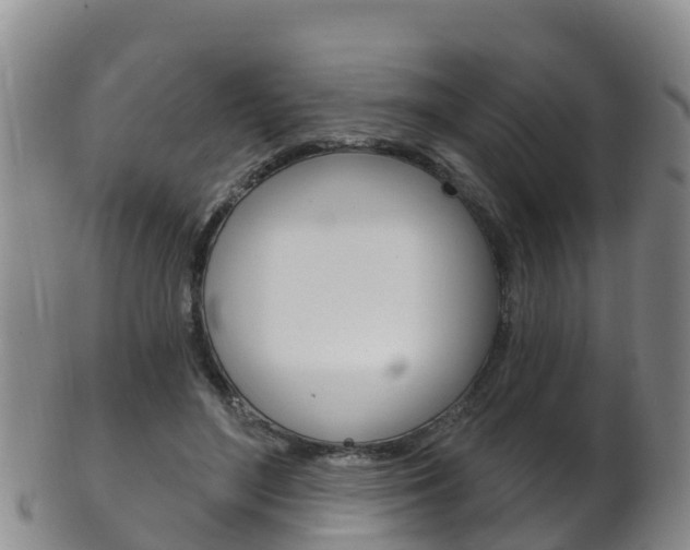 X0000102530500200808081055