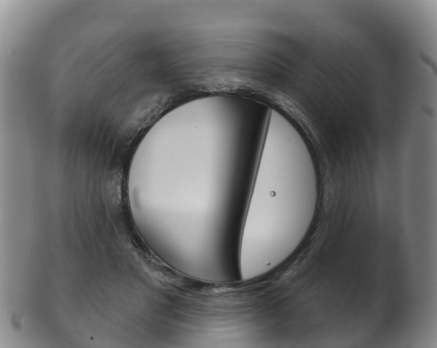 X0000102530501200808081055