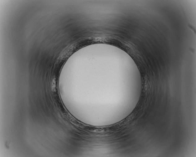 X0000102530502200808081055