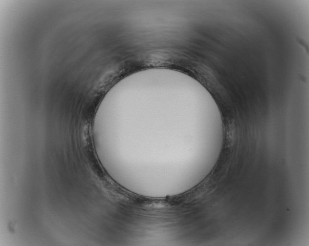 X0000102530503200808081055