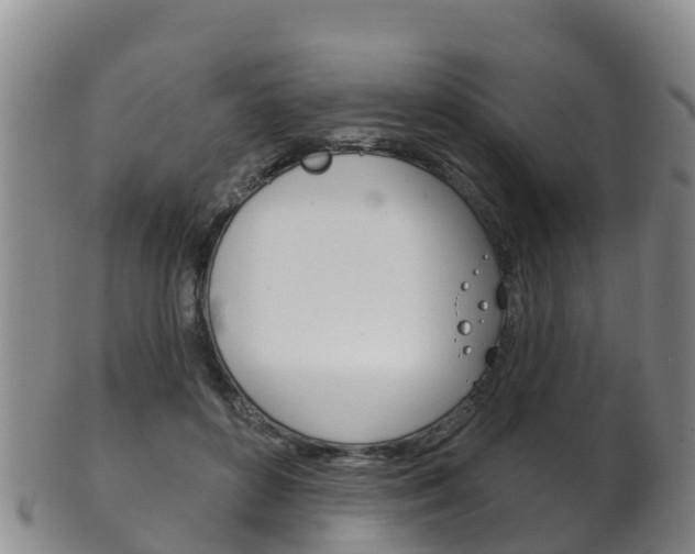 X0000102530504200808081055
