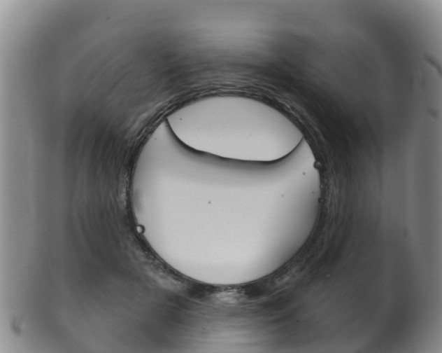 X0000102530505200808081055