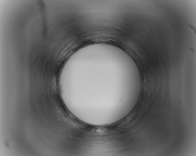 X0000102530506200808081055