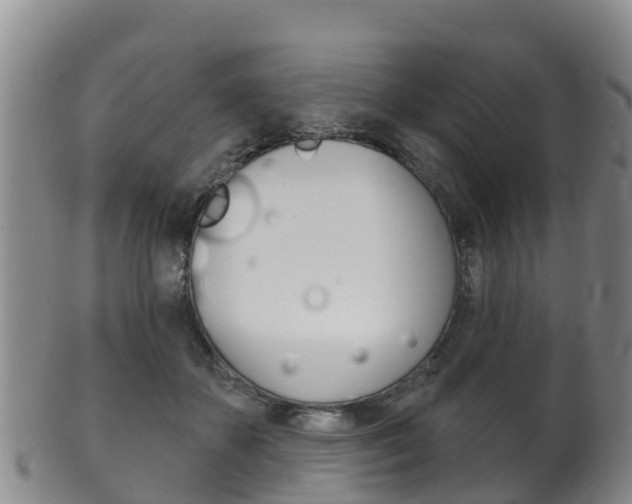 X0000102530507200808081055