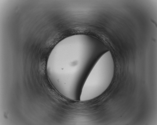 X0000102530509200808081055