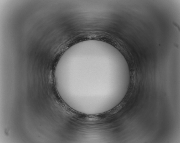 X0000102530510200808081055