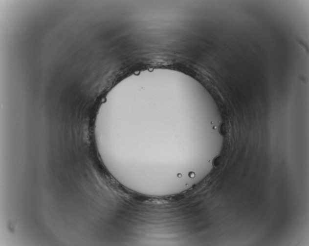 X0000102530512200808081055