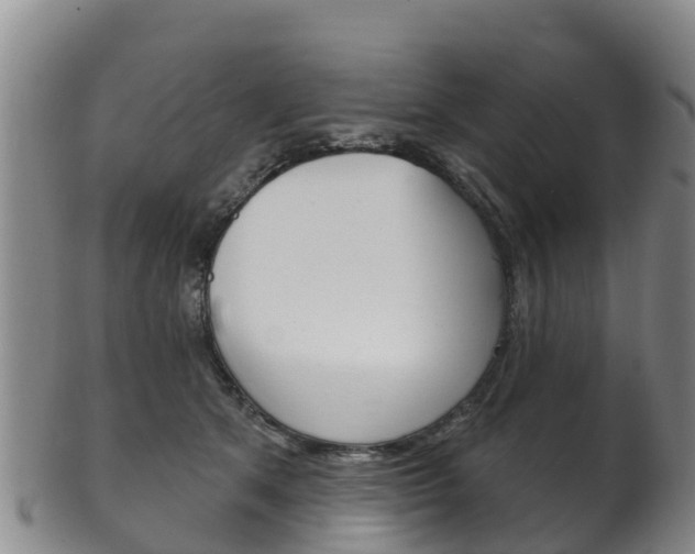 X0000102530513200808081055