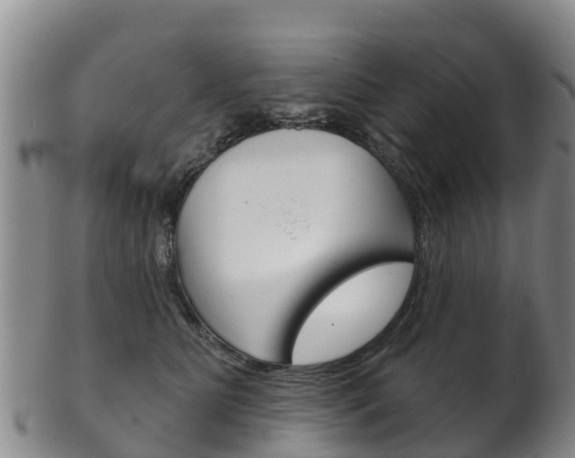 X0000102530515200808081055