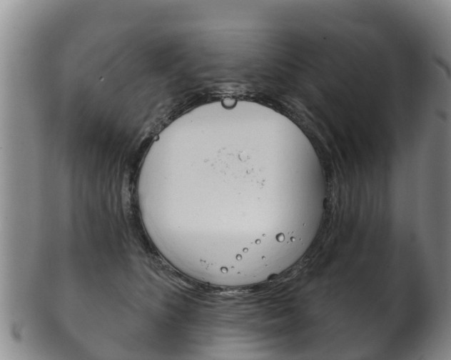 X0000102530516200808081055