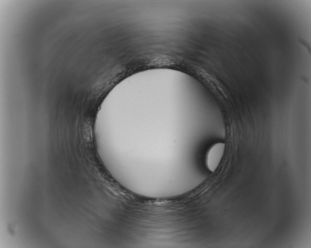 X0000102530517200808081055