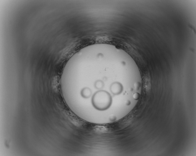 X0000102530519200808081055