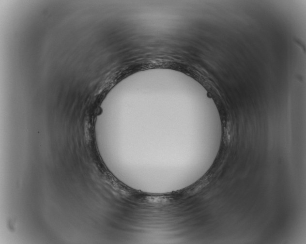 X0000102530520200808081055