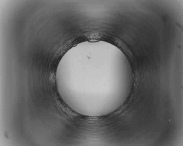 X0000102530521200808081055