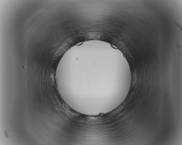 X0000102530522200808081055
