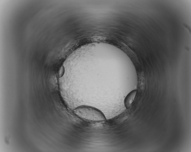 X0000102530523200808081055