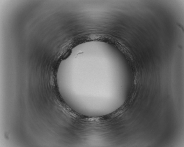 X0000102530524200808081055