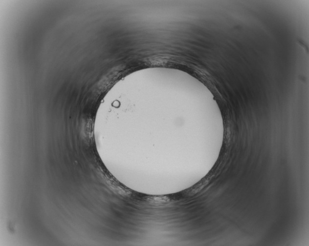 X0000102530525200808081055