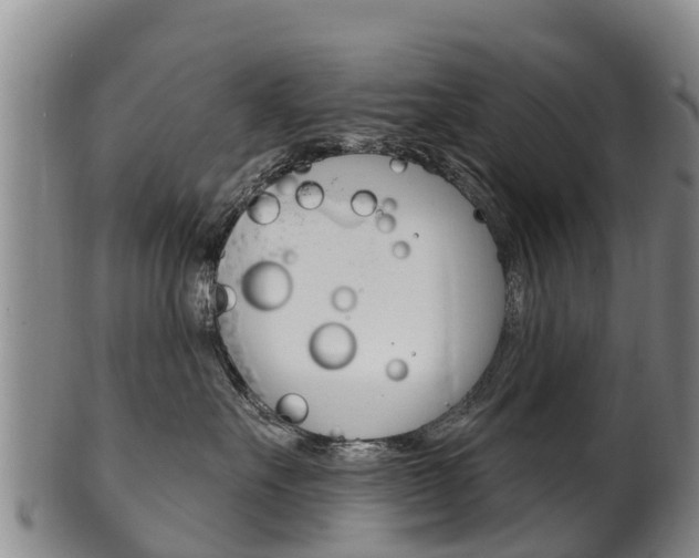 X0000102530527200808081055