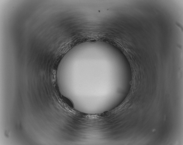 X0000102530528200808081055