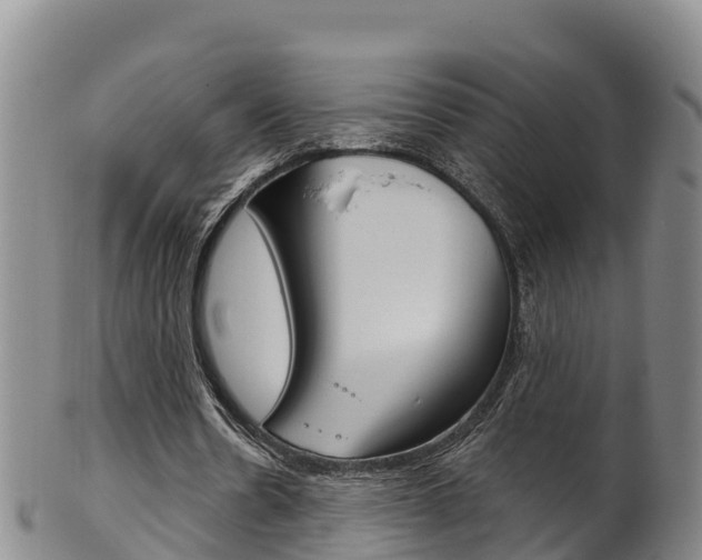 X0000102530530200808081054