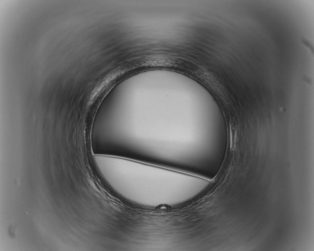 X0000102530531200808081054