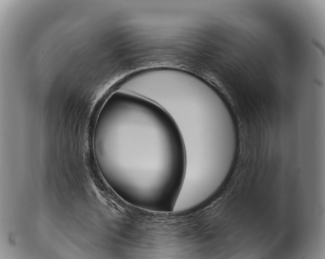 X0000102530532200808081054
