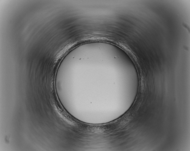 X0000102530533200808081054