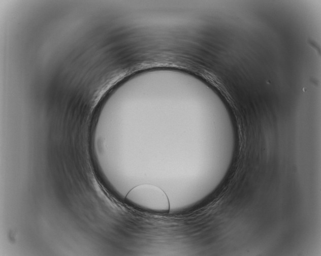 X0000102530534200808081054
