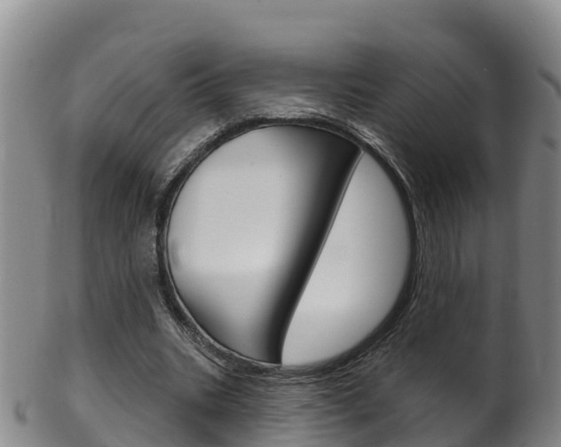 X0000102530535200808081054