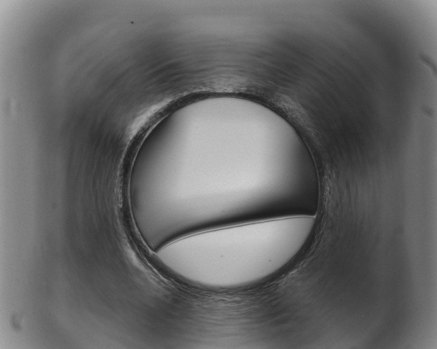 X0000102530536200808081054